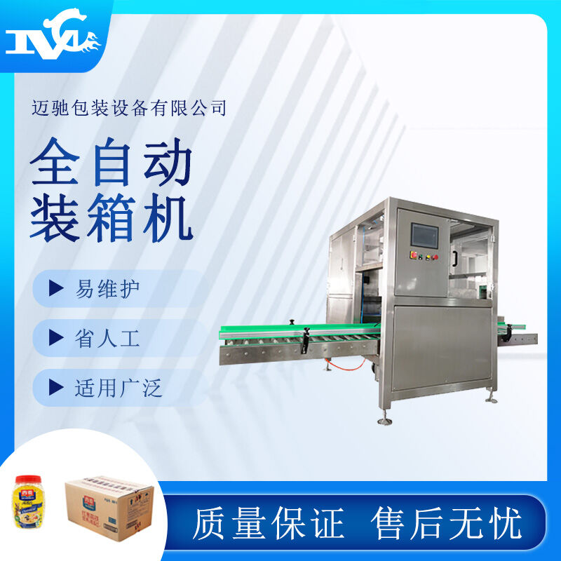 全自動(dòng)裝箱機(jī) 全自動(dòng)裝箱機(jī)